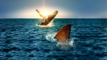 Shark vs. Whale (2020)