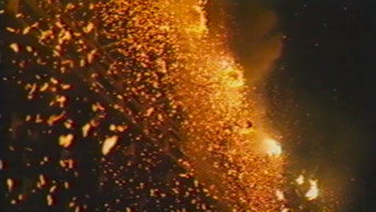 Firefly media image