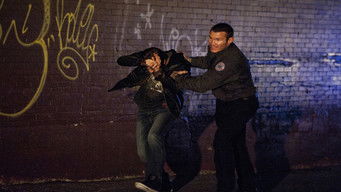 Galeria 2 - 12 trampas 2