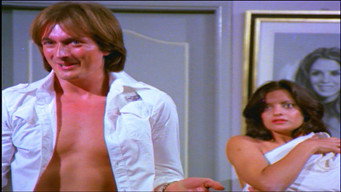 O Artesão de Mulheres (1978)