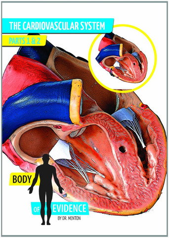 Body of Evidence: The Cardiovascular System (1970)