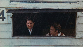 #6 The Shout