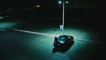 Galeria 4 - El entregador de la noche