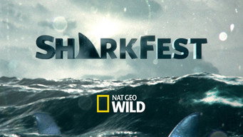 Sharkfest (2018- )