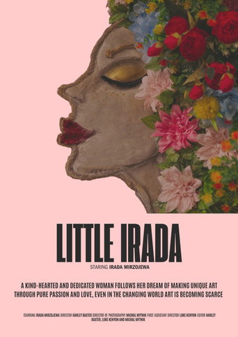 Little Irada poster