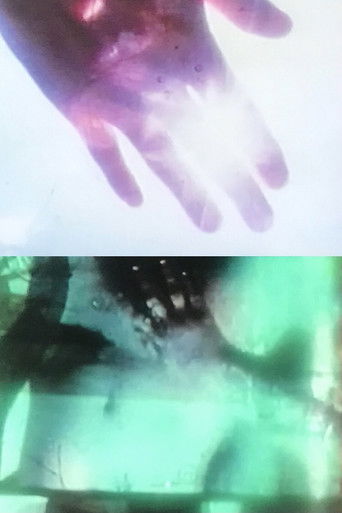 songs (plate #23) poster