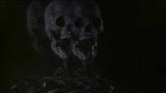 Miracle Baby (1982)