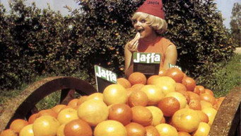 Jaffa, the Orange's Clockwork (2009)
