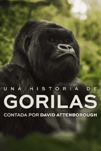 Una historia de gorilas contada por David Attenborough