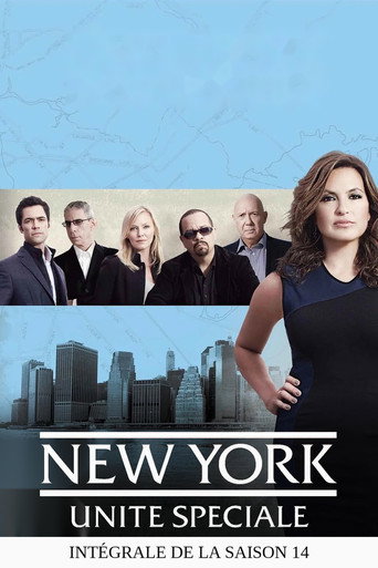 New York Unité Spéciale - S14 - Poster