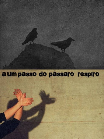 A um passo do pássaro
