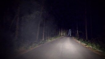 Episódio A Cobra Voadora da série Vídeos Paranormais