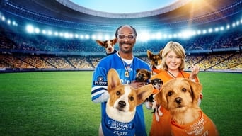 Puppy Bowl - 20x01