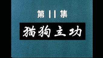 Episode 11