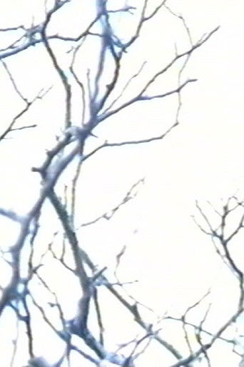 Stereo #0 - 30 drones for television - Drone 15