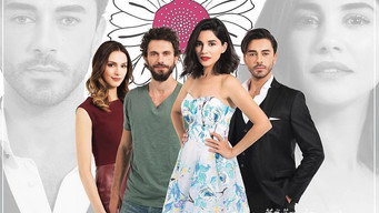 Seviyor Sevmiyor (2016-2017)