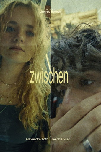 Cartell de Zwischen