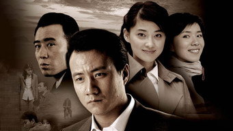 Sui yue (2010)