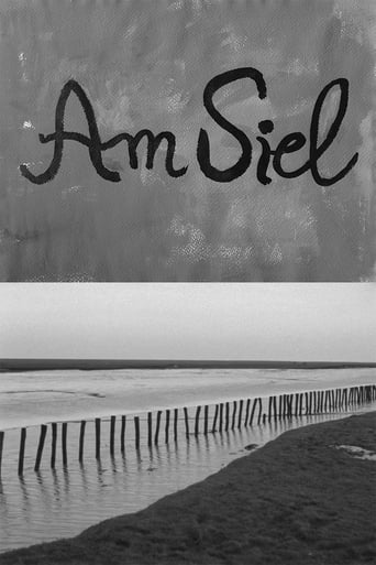 Poster för Am Siel