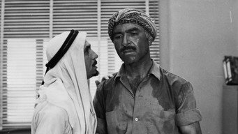 The Dupes (1972)