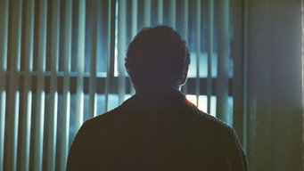 Anemoia media image