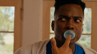 Cotton Candy Bubble Gum (2025)