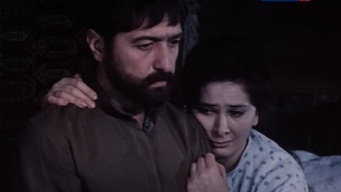 Episode 6 — Episode 6