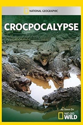 Crocpocalypse galeri 3