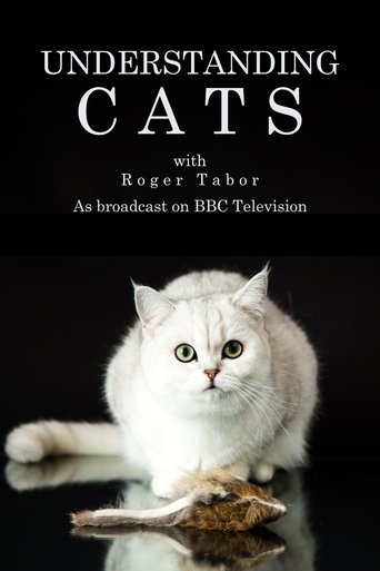 Understanding Cats