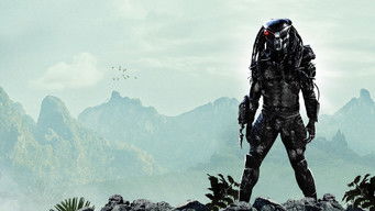 Galeria 5 - Depredador