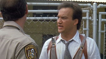 Galeria 5 - Superagente K-9