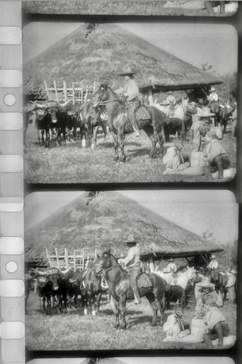 Les Apaches du Far-West (1907)