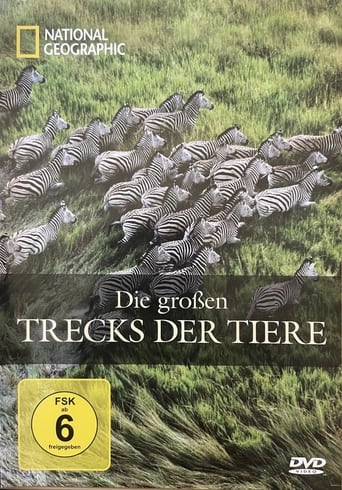 National Geographic: Die großen Trecks der Tiere poster