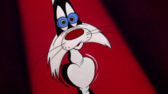 #4 Scaredy Cat