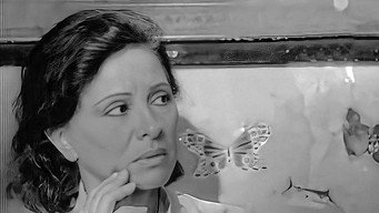 Bitter Day, Sweet Day (1988)