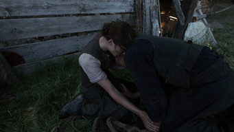 Galeria 2 - Vida oculta