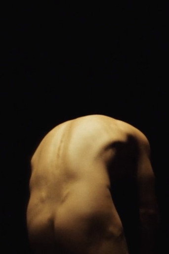 Des Paradis (2019)