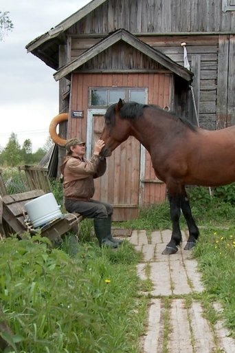 The Robinsons of Mantsinsaari (2009)