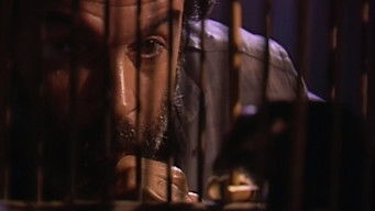 Episodio 53 — Episodio 53