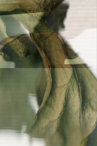 Um Minuto e Meio de Folhas em um Escâner (1970) Um Minuto e Meio de Folhas em um Escâner (1970)