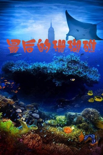 最后的珊瑚礁:海底世界