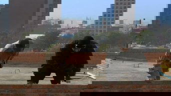 Los simuladores S01E02