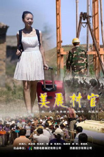美丽村官 poster