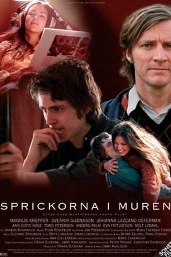 Poster för Sprickorna i muren