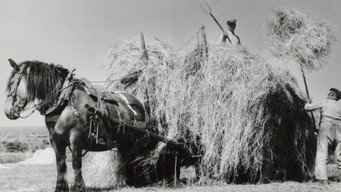 Peasant Symphony (1944)