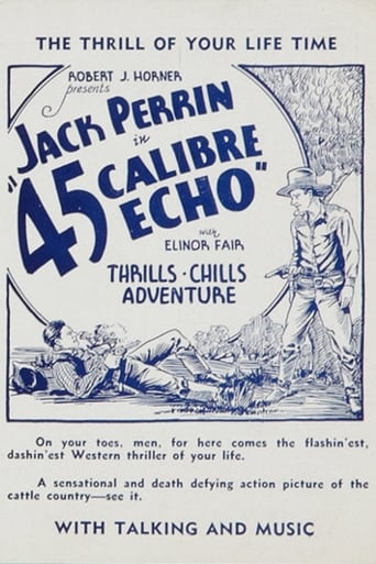 Poster of 45 Calibre Echo