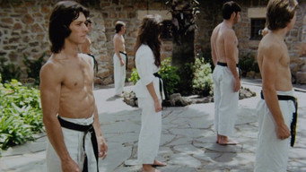 #23 Karate Killer