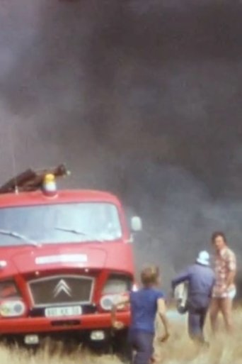 Summary of a Summer (1976)