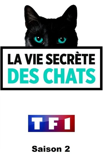 La Vie secrète des chats: Season 2