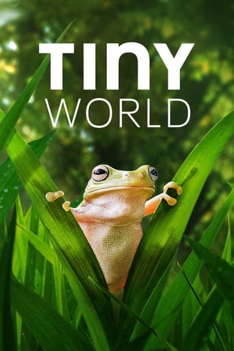 Tiny World Season 2 Episode 4
